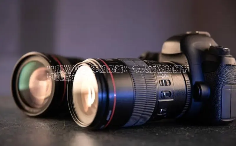 易游体育app官方下载知乎**柳州2024年凶杀案：令人震惊的细节
和调查进展**