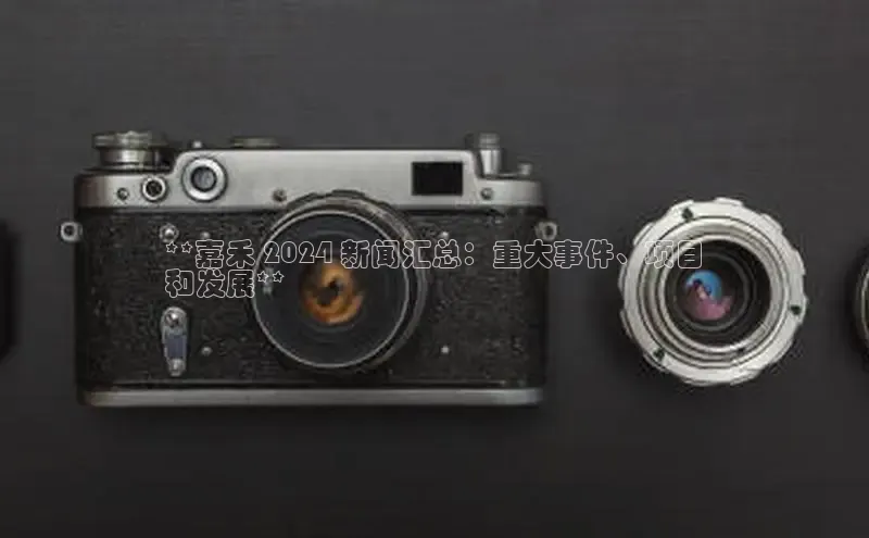 易游体育app官方下载知乎**嘉禾 2024 新闻汇总：重大事件、项目
和发展**