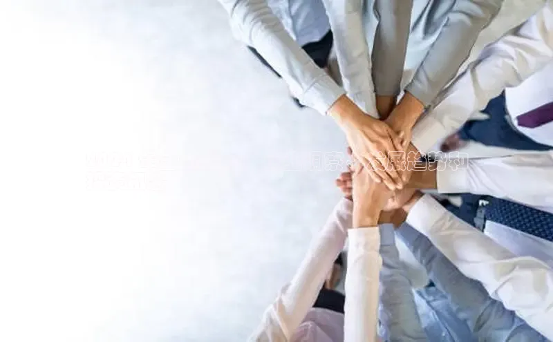 米乐yy易游体育App下载赛富乐斯2024 年金蟾动态：行业洞察、发展趋势和
投资机会