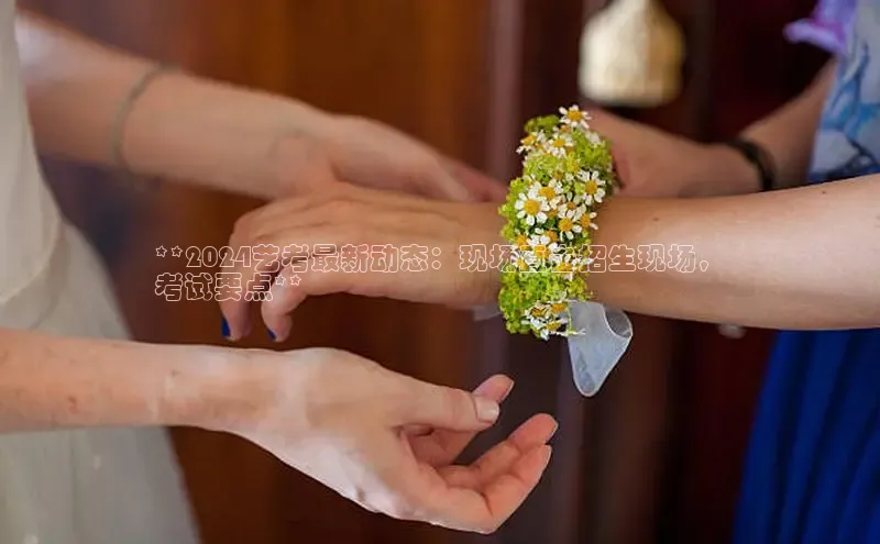 YY易游app猫眼**2024艺考最新动态：现场直击招生现场，
考试要点**