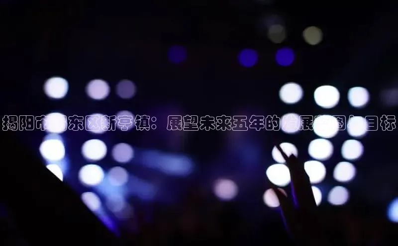 揭阳市揭东区新亨镇：展望未来五年的发展蓝图与目标