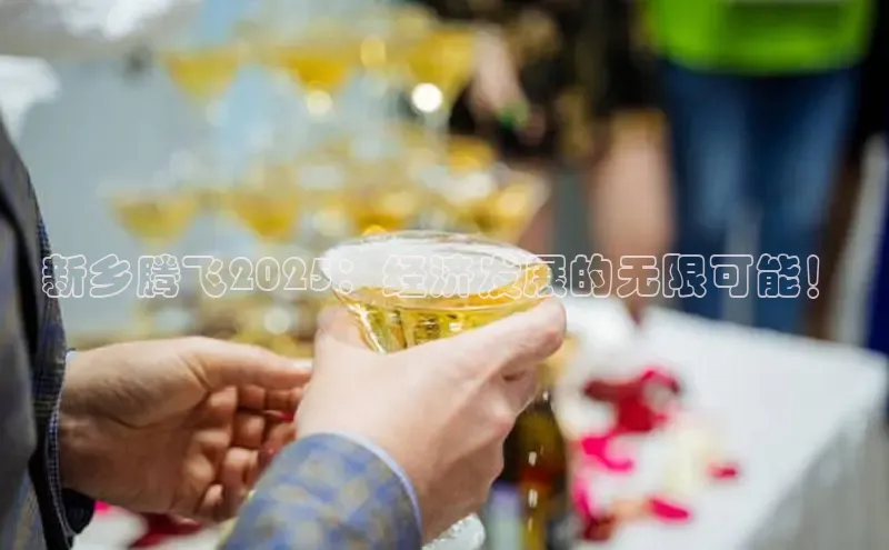 新乡腾飞2025：经济发展的无限可能！