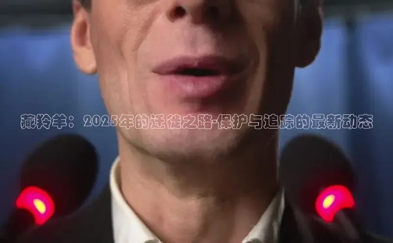 米乐m6官网老版