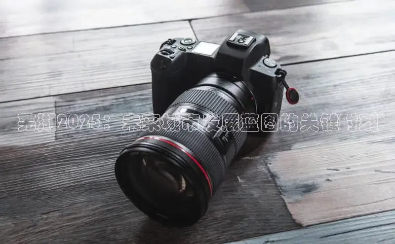 芜湖2025：未来城市发展蓝图的关键时刻