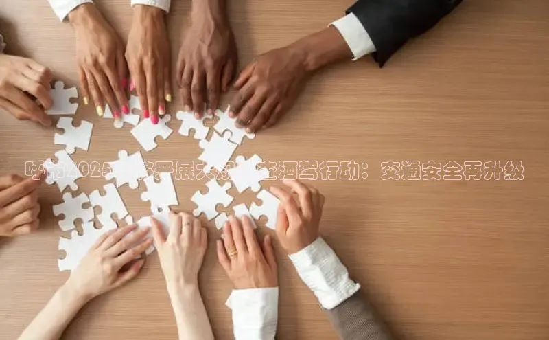 呼市2025年将开展大规模查酒驾行动：交通安全再升级