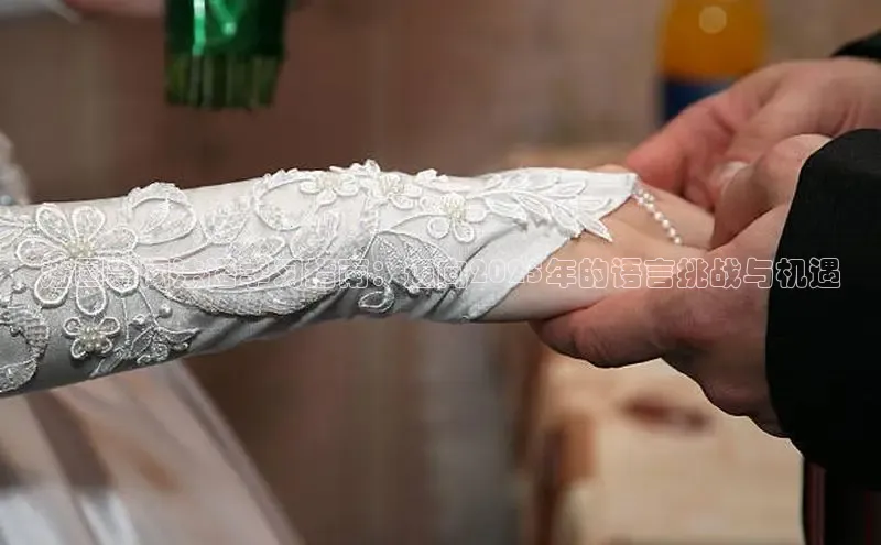 法国新闻法语学习指南：迈向2025年的语言挑战与机遇