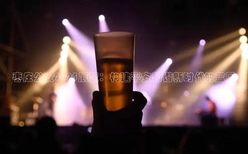 枣庄公安2025展望：构建平安和谐新时代的蓝图