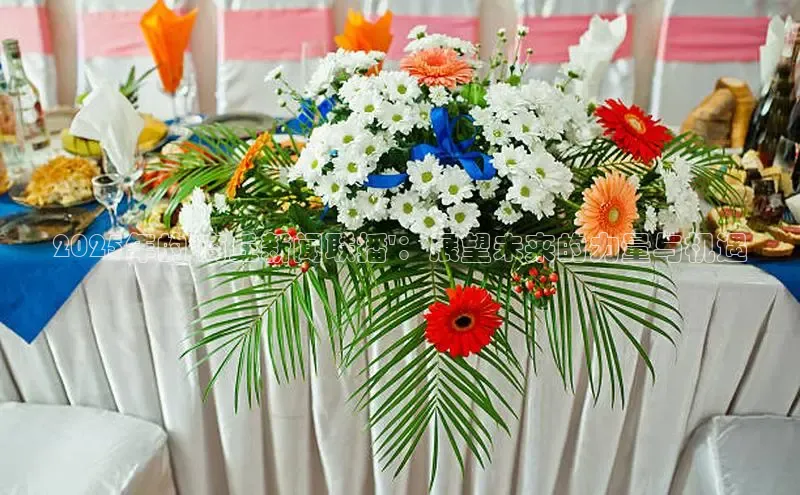 2025年的\'商丘新闻联播\'：展望未来的力量与机遇