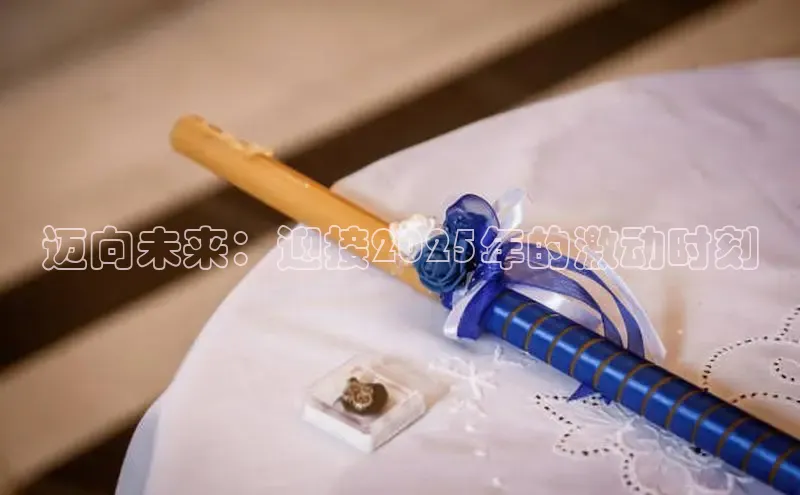 迈向未来：迎接2025年的激动时刻